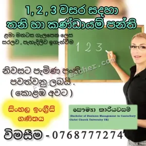 Primary Class Teacher
