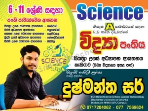 Grade 6-11 Science Tuition