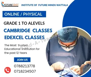Edexcel / Cambridge Classes At Wattala, Mabola