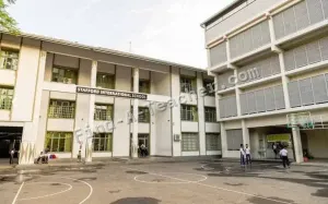 Stafford International School