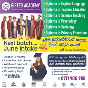 Gifted Academy