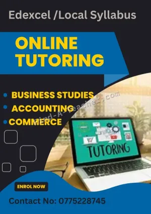 Online / Home Visiting Tutoring