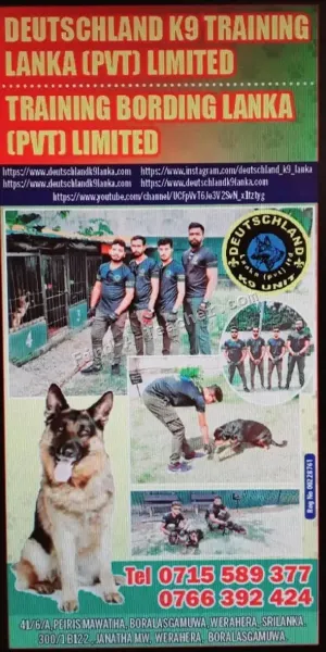 Deutschland K9 Training Lanka