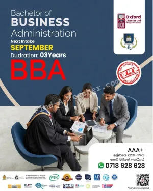 Bachelor Degrees